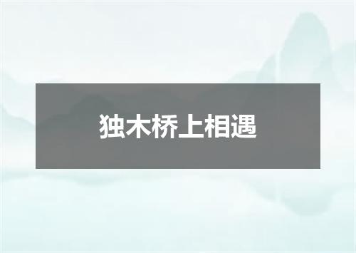 独木桥上相遇