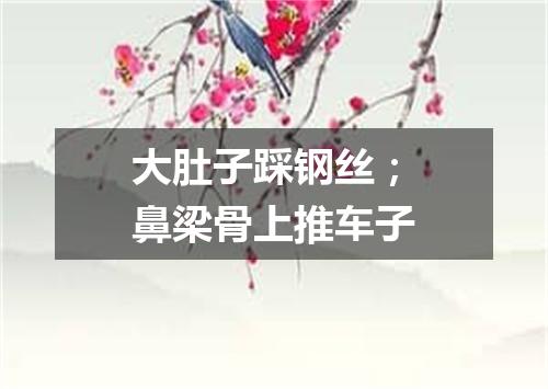 大肚子踩钢丝；鼻梁骨上推车子