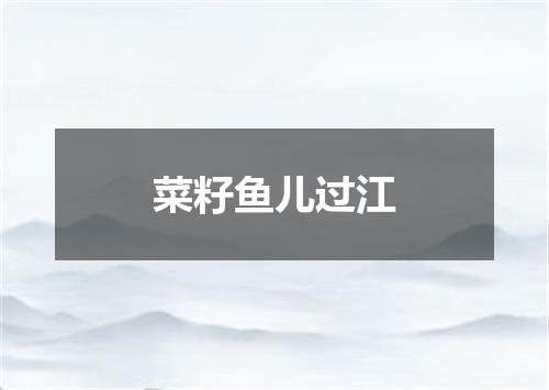 菜籽鱼儿过江