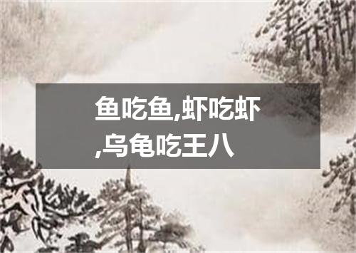 鱼吃鱼,虾吃虾,乌龟吃王八