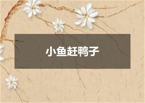 小鱼赶鸭子