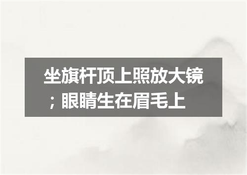 坐旗杆顶上照放大镜；眼睛生在眉毛上