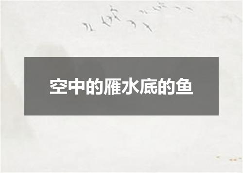 空中的雁水底的鱼