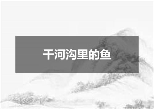 干河沟里的鱼