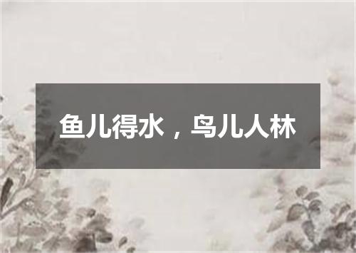 鱼儿得水，鸟儿人林