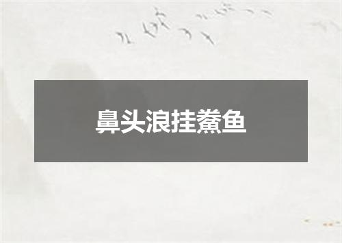 鼻头浪挂鮝鱼