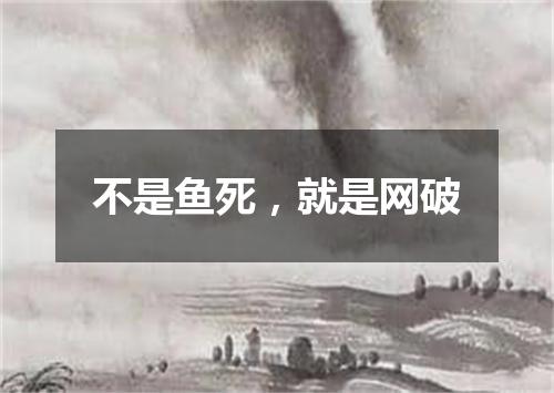 不是鱼死，就是网破