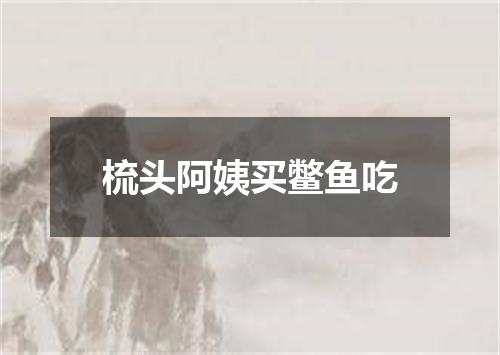 梳头阿姨买鳖鱼吃