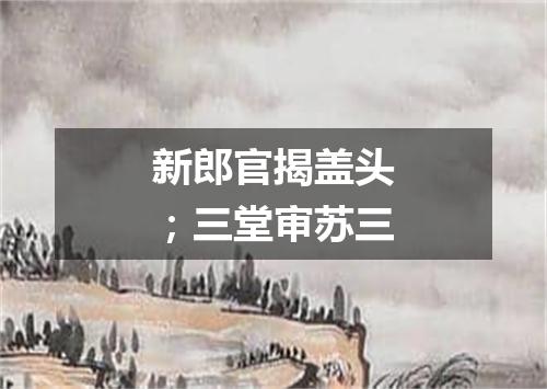 新郎官揭盖头；三堂审苏三