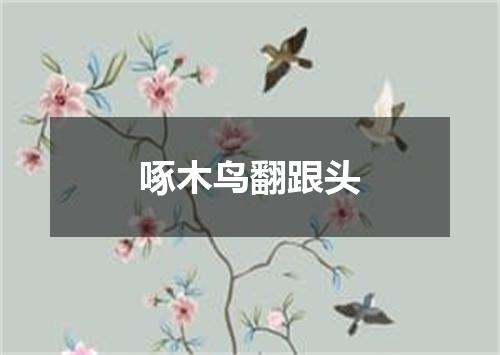 啄木鸟翻跟头