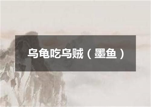 乌龟吃乌贼（墨鱼）