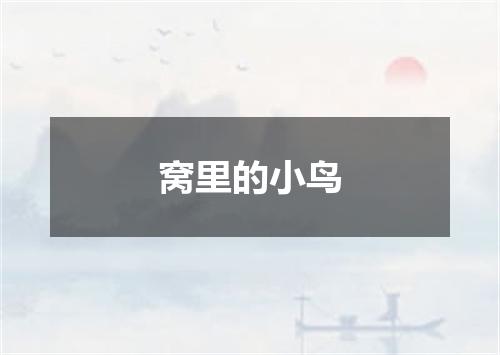 窝里的小鸟