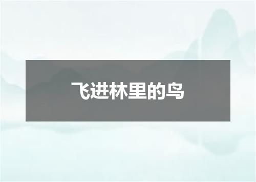 飞进林里的鸟