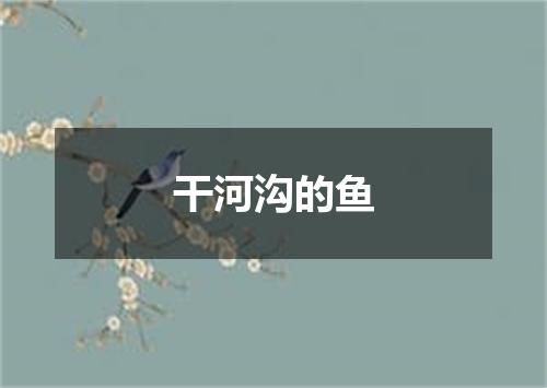 干河沟的鱼