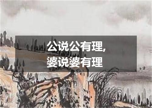 公说公有理,婆说婆有理