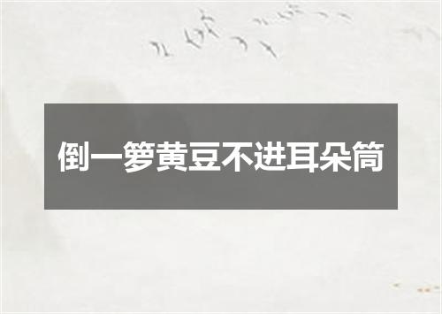 倒一箩黄豆不进耳朵筒