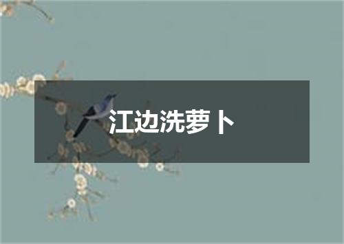 江边洗萝卜