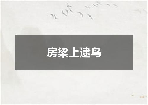 房梁上逮鸟