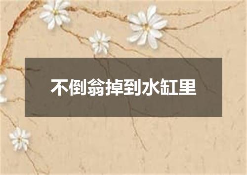 不倒翁掉到水缸里
