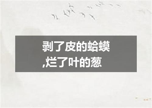 剥了皮的蛤蟆,烂了叶的葱