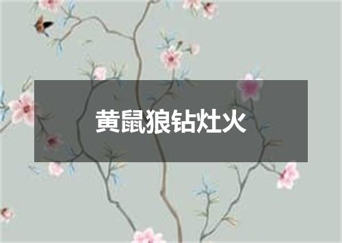 黄鼠狼钻灶火