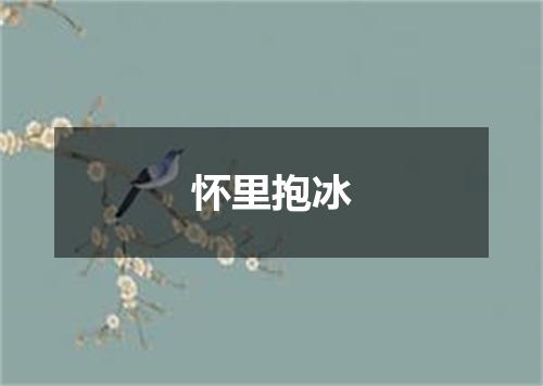 怀里抱冰