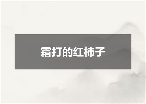 霜打的红柿子