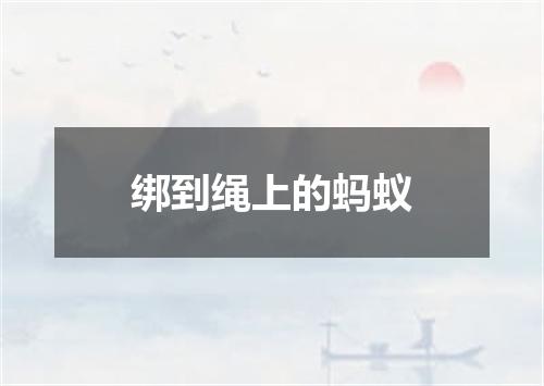 绑到绳上的蚂蚁