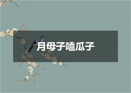 月母子嗑瓜子