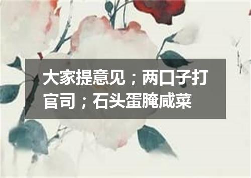 大家提意见；两口子打官司；石头蛋腌咸菜