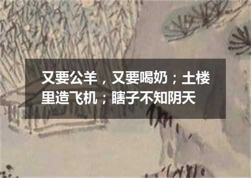 又要公羊，又要喝奶；土楼里造飞机；瞎子不知阴天