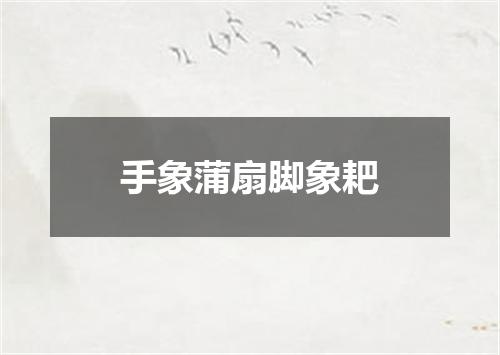 手象蒲扇脚象耙