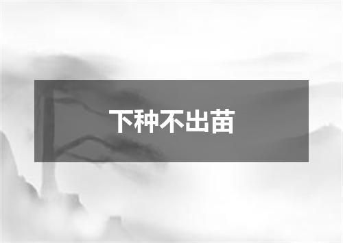 下种不出苗