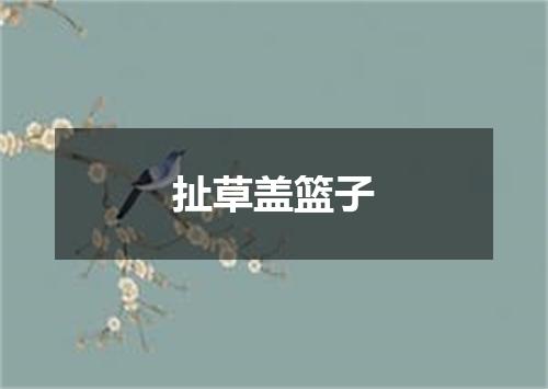 扯草盖篮子