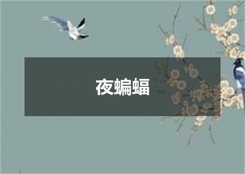 夜蝙蝠