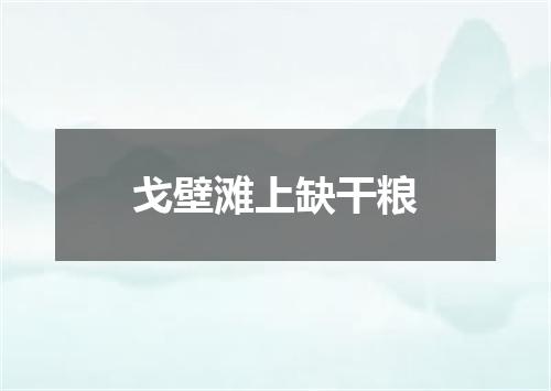 戈壁滩上缺干粮
