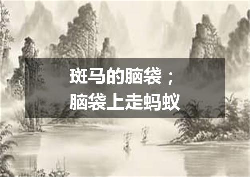 斑马的脑袋；脑袋上走蚂蚁