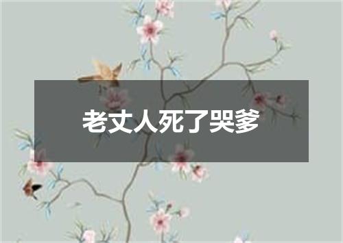 老丈人死了哭爹