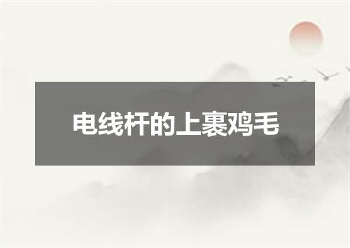电线杆的上裹鸡毛
