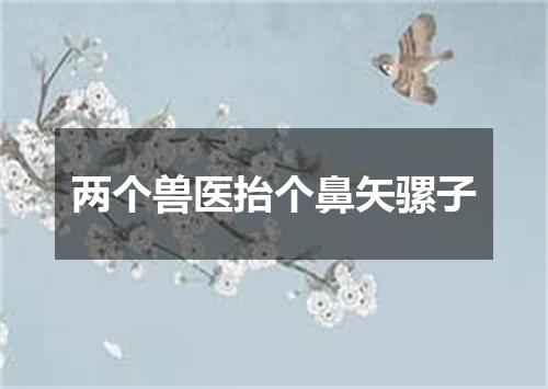 两个兽医抬个鼻矢骡子