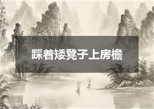 踩着矮凳子上房檐