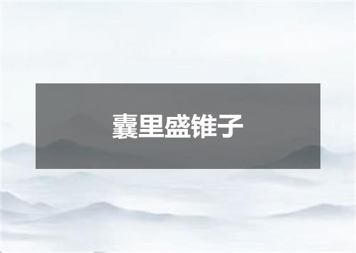囊里盛锥子