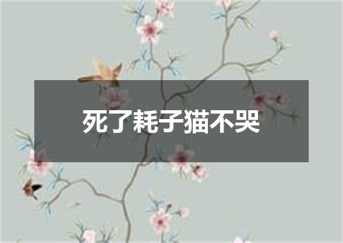 死了耗子猫不哭