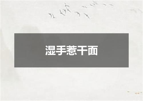 湿手惹干面