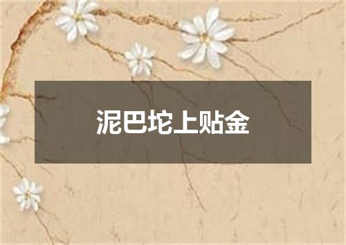 泥巴坨上贴金