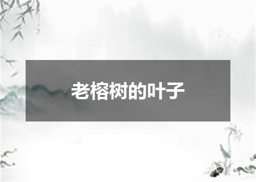 老榕树的叶子