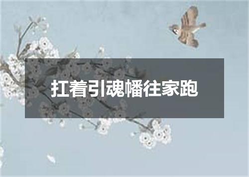 扛着引魂幡往家跑