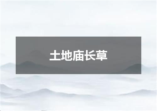 土地庙长草