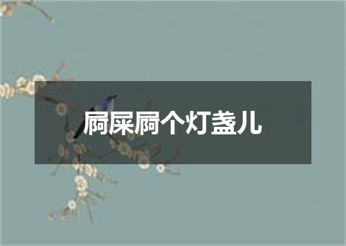屙屎屙个灯盏儿