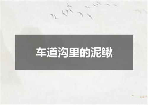 车道沟里的泥鳅